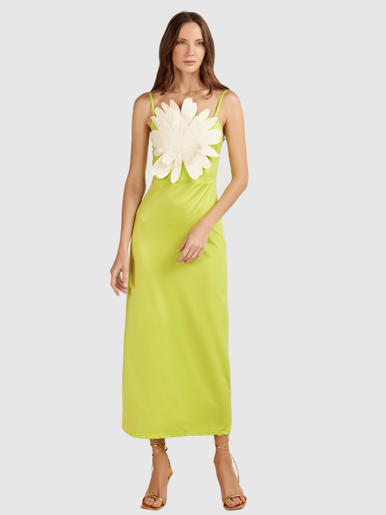 Bahia Maria Swimwear