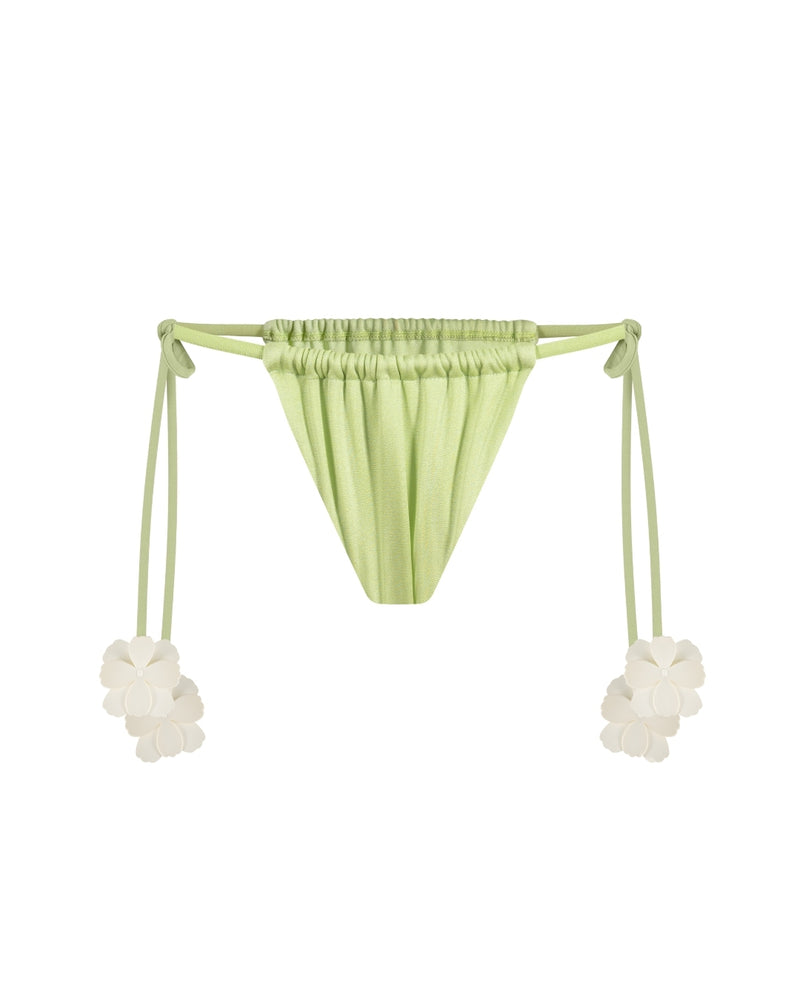 FEDERICA PANTY TINY
